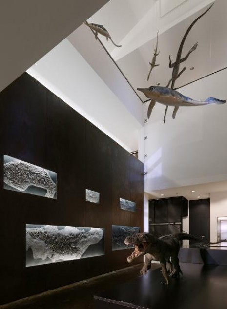 Museo dei fossili (4/6)